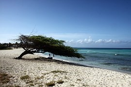 Aruba beach