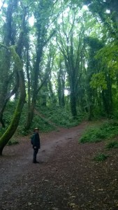 WP_20170711_14_44_37_Pro