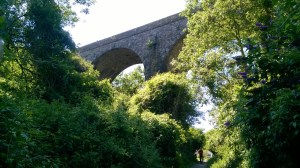 WP_20170712_15_39_04_Pro